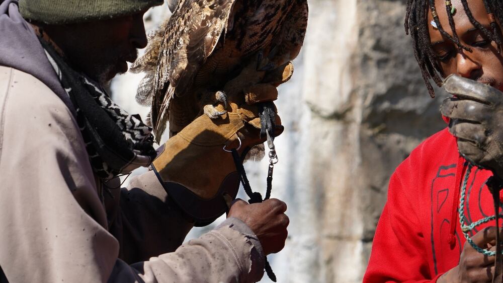 How master falconers in the US are helping at-risk youth through birds