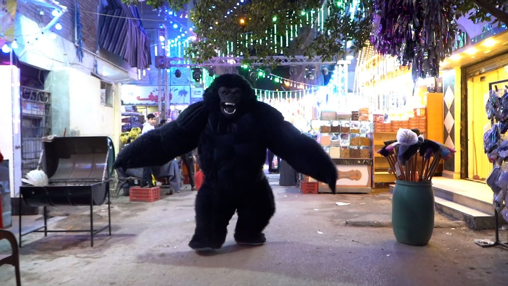 Gorilla costume dancers go viral in Egypt