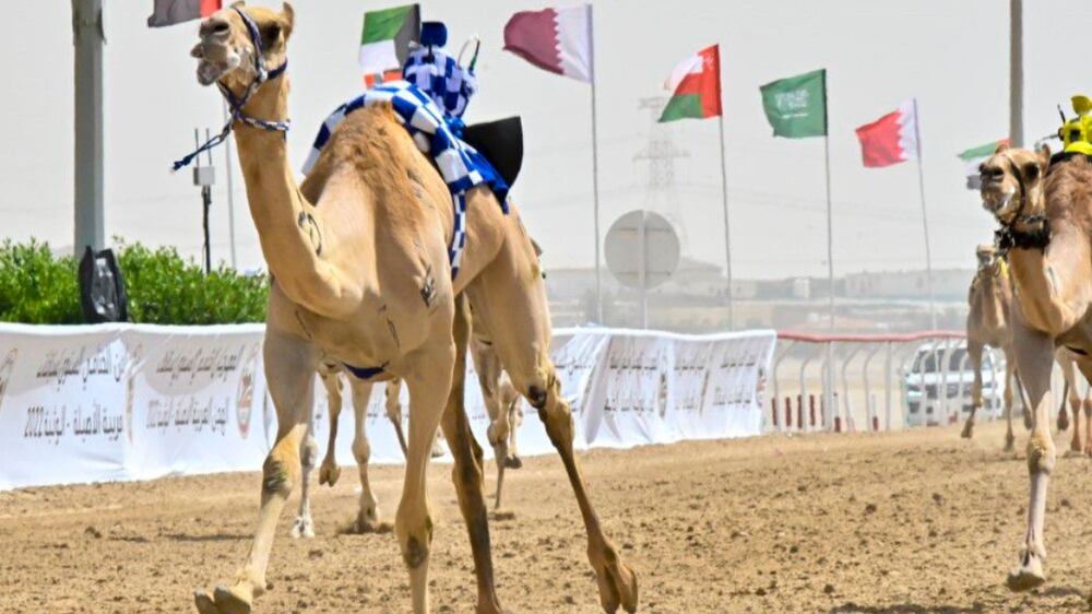 Watch: Sheikh Mansour bin Zayed attends Al Wathba Final Annual Camel Races Festival