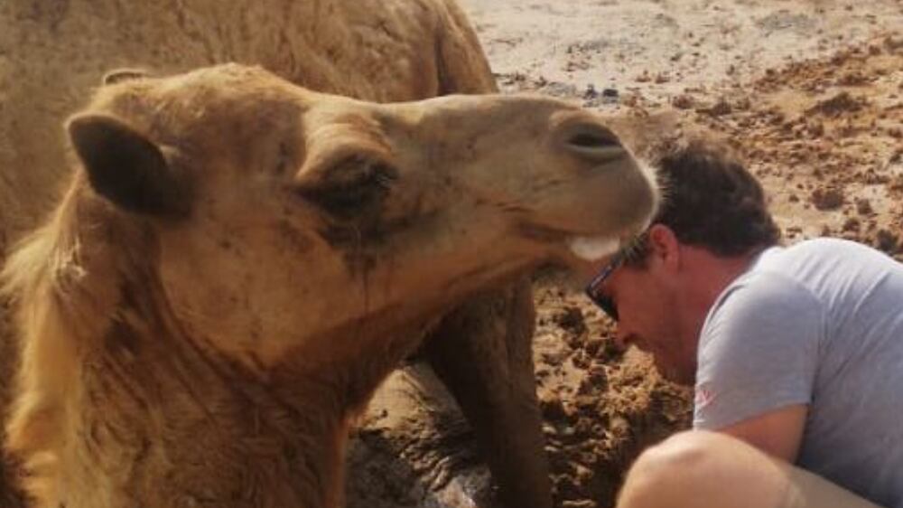 Dubai couple rescue camel stuck in quicksand
