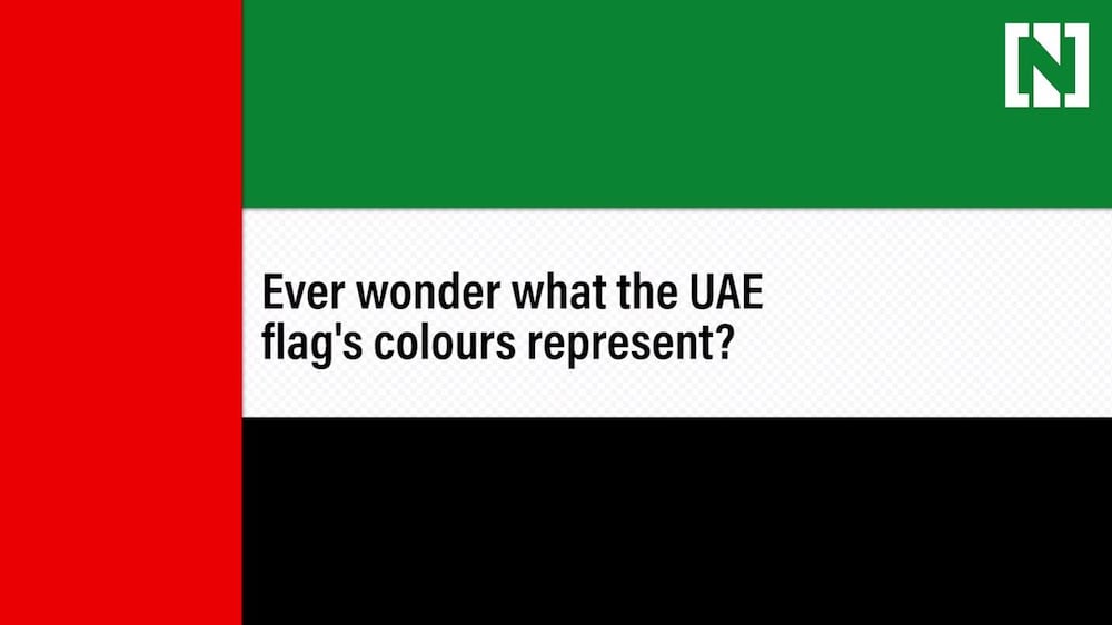 What do the UAE flag's colours represent?