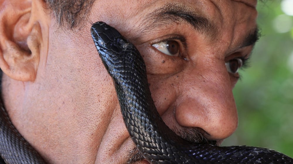 Meet the snake hunter of Jordan
