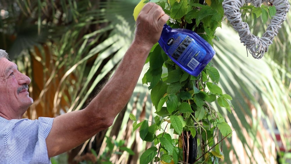 Abu Dhabi man plants more than 200 trees outside his residence