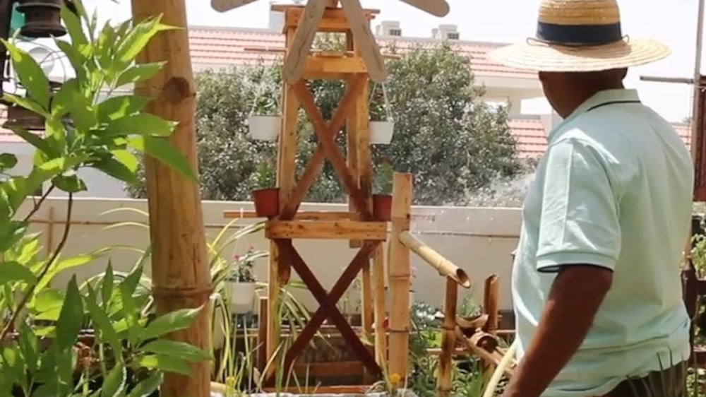 UAE family transforms terrace into quirky kitchen garden