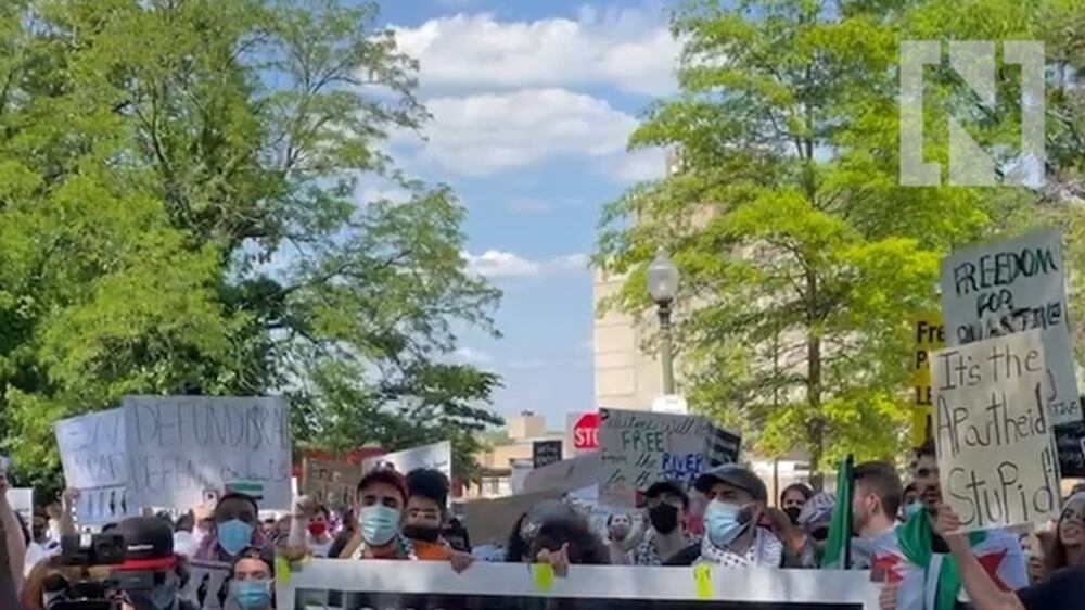 Pro Palestinians rally in US capitol 