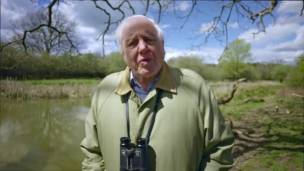 Sir David Attenborough warns of ‘crippling’ climate change after Cop26 role