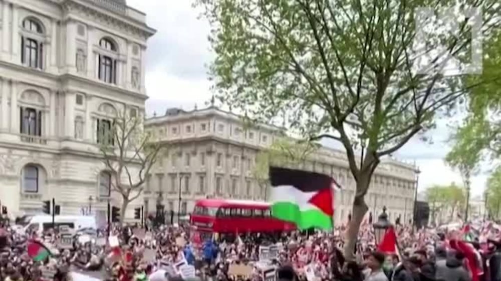 Pro-Palestinian protesters demonstrate in central London