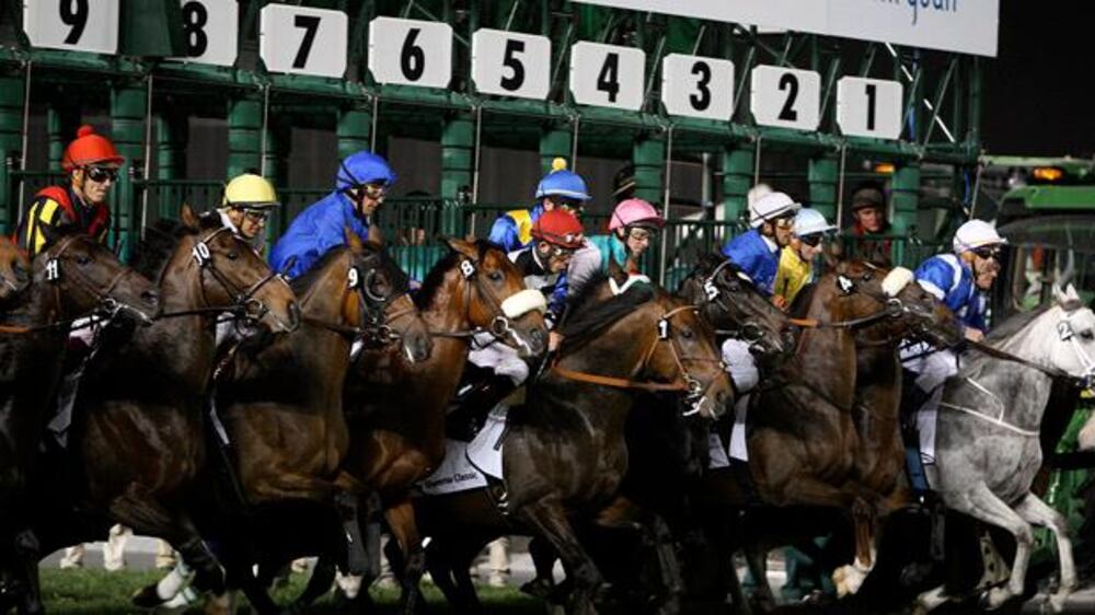 Video: In the running for the Dubai World CUp