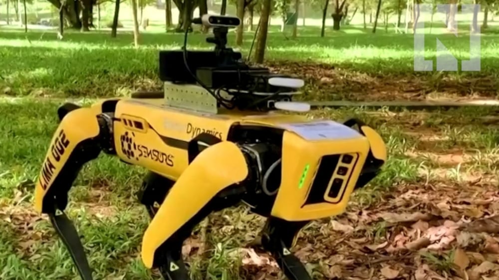 Robot dogs police social distancing in Singapore