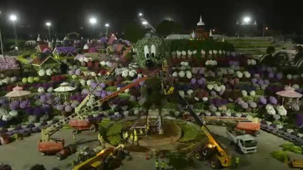 Timelapse: 18-metre floral Mickey Mouse at Dubai Miracle Garden