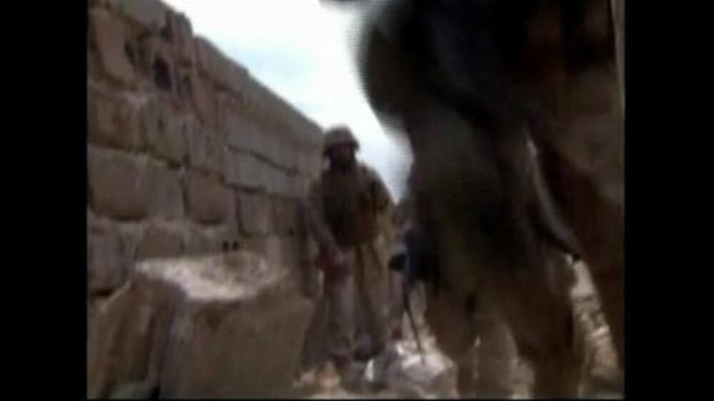 Video: Iraq war legacy of high suicide rates and PTSD among vets