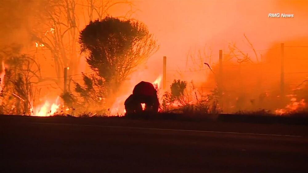 Man stops car to rescue rabbit from California wildfires