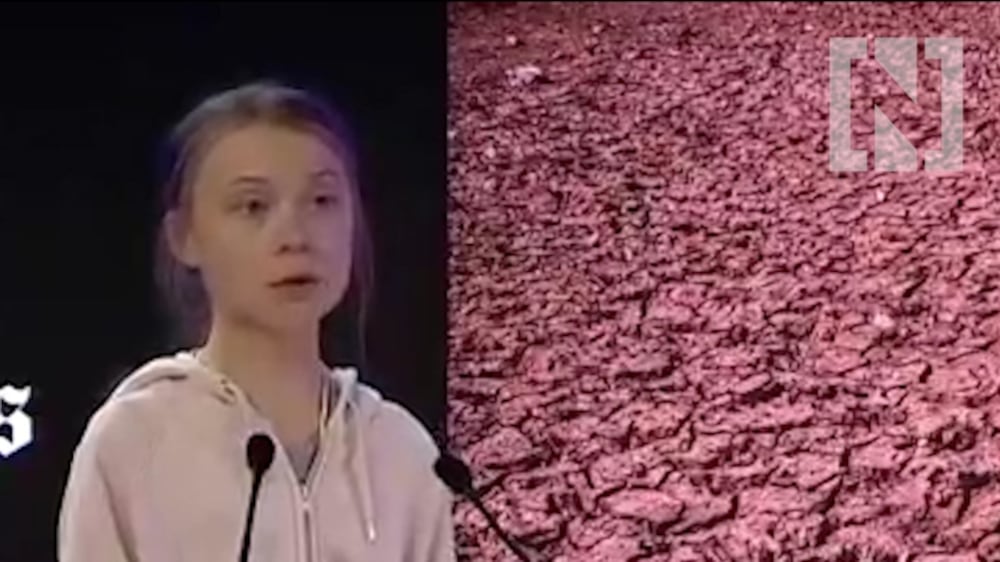 Greta Thunberg in Davos