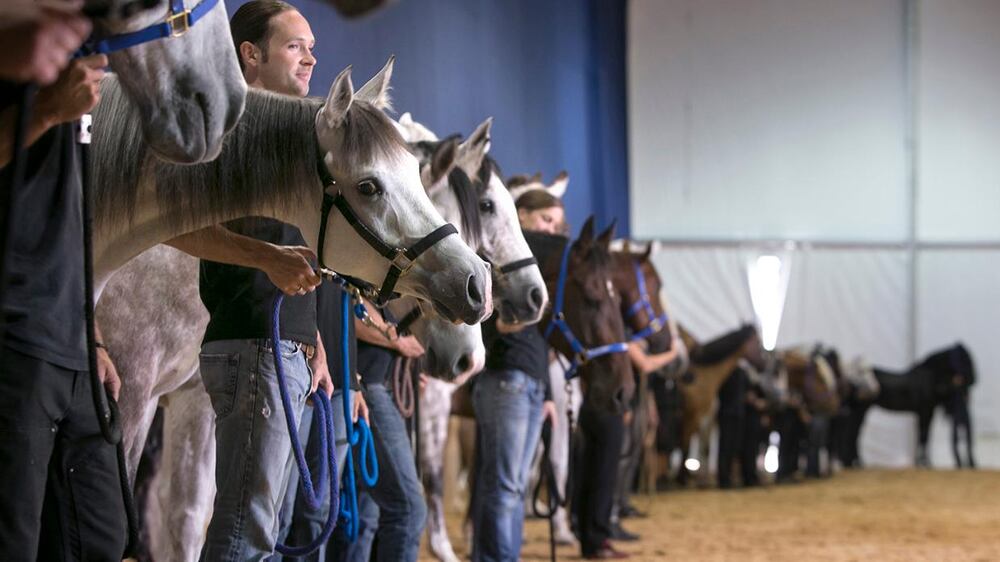 Video: Behind the scenes with the stars of the Cavalia show