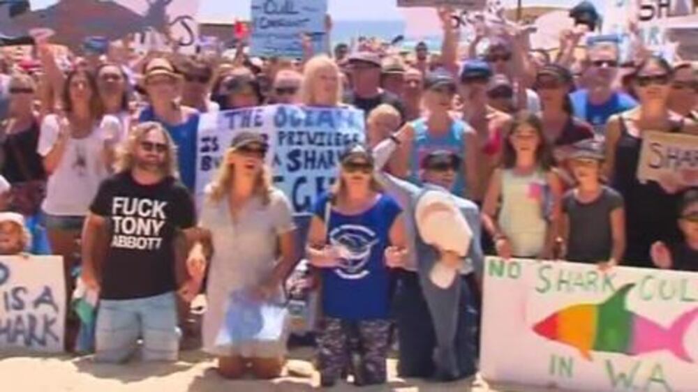 Video: Protestors slam Australia shark cull