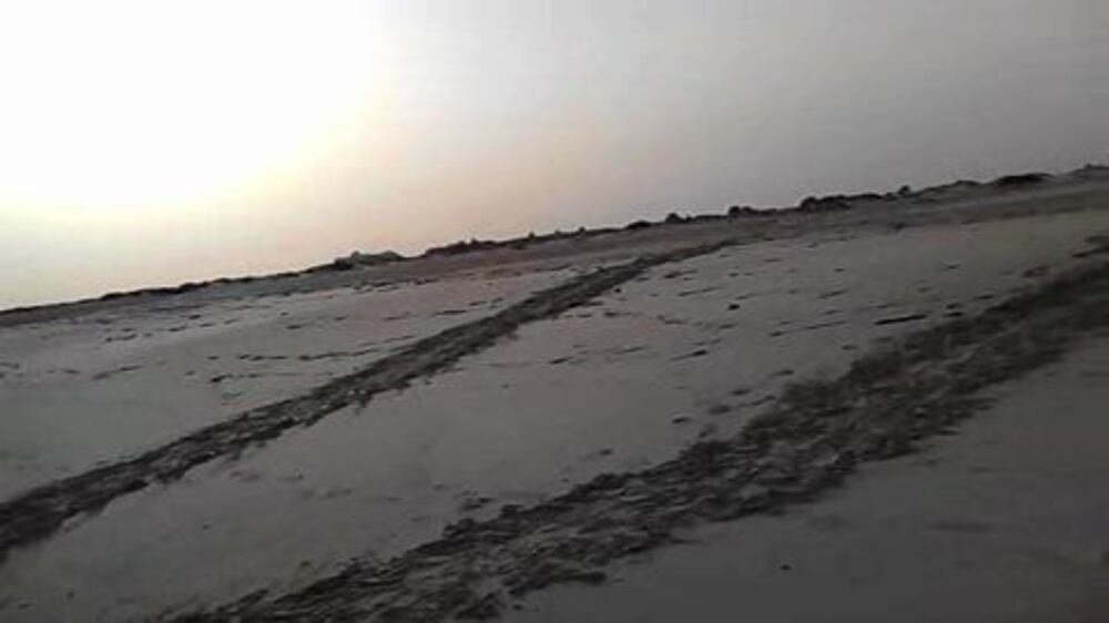 Video: Turtles filmed nesting on Saadiyat Island