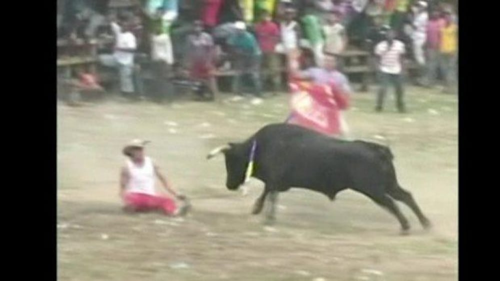 Video:  Two men killed during bullfight in Colombia