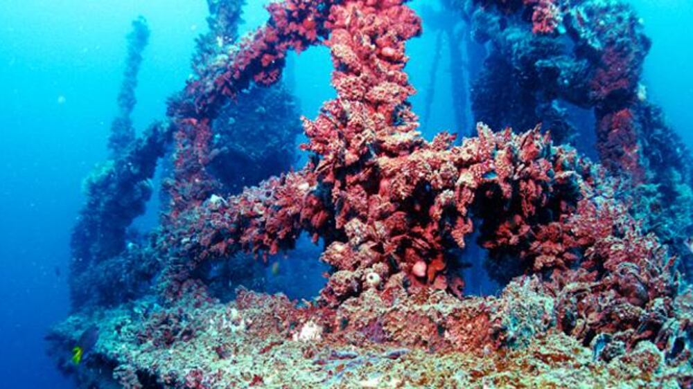 Abu Dhabi's rediscovered shipwreck