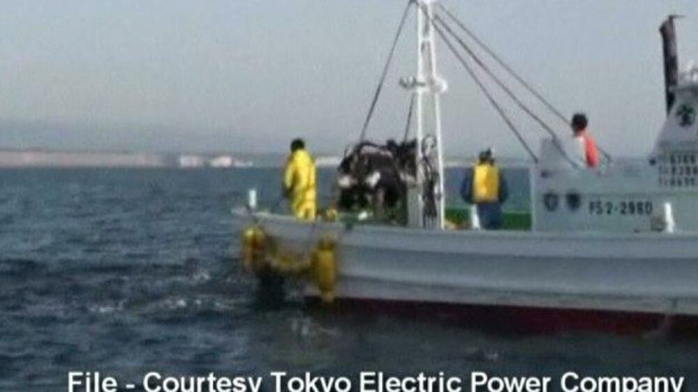 Video: Radioactive fish found near Fukushima plant