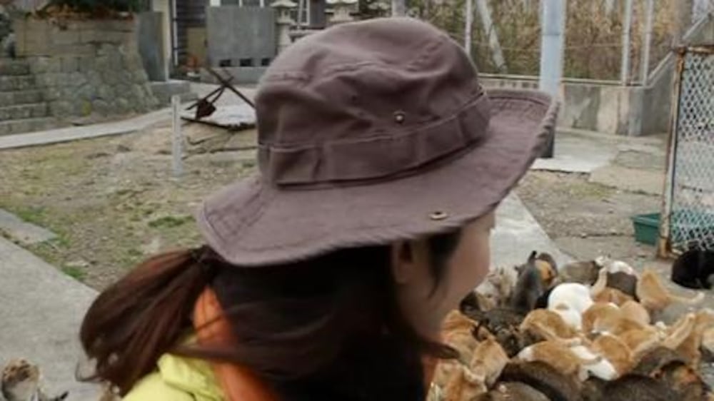 Japan island overrun by cats - video