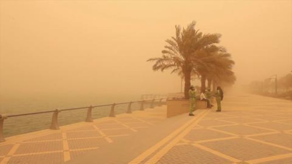 Dust storm engulfs UAE - video