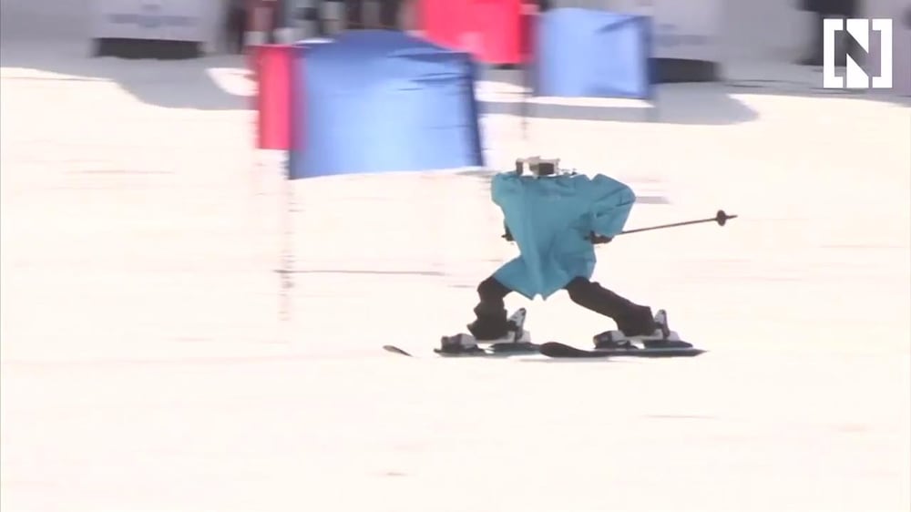 Robots hit the slopes in Korea