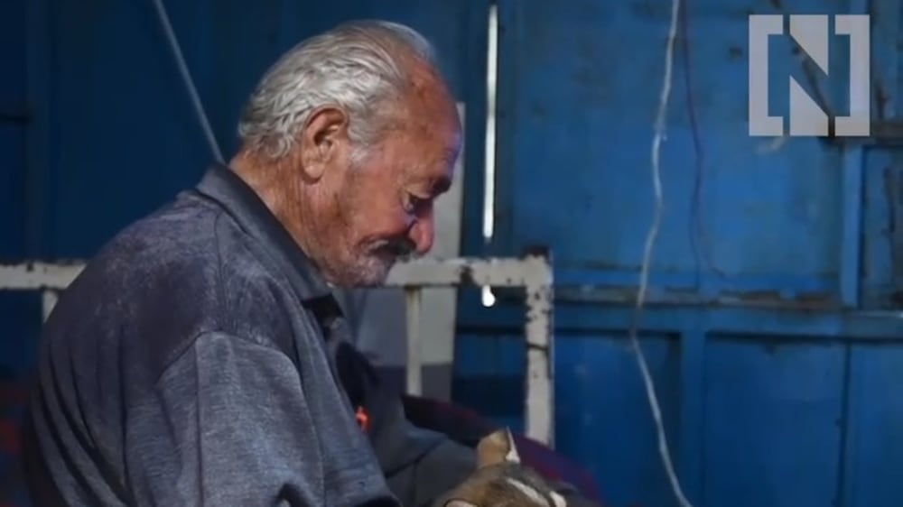 88-year old man shelters dogs abandoned during coronavirus crisis