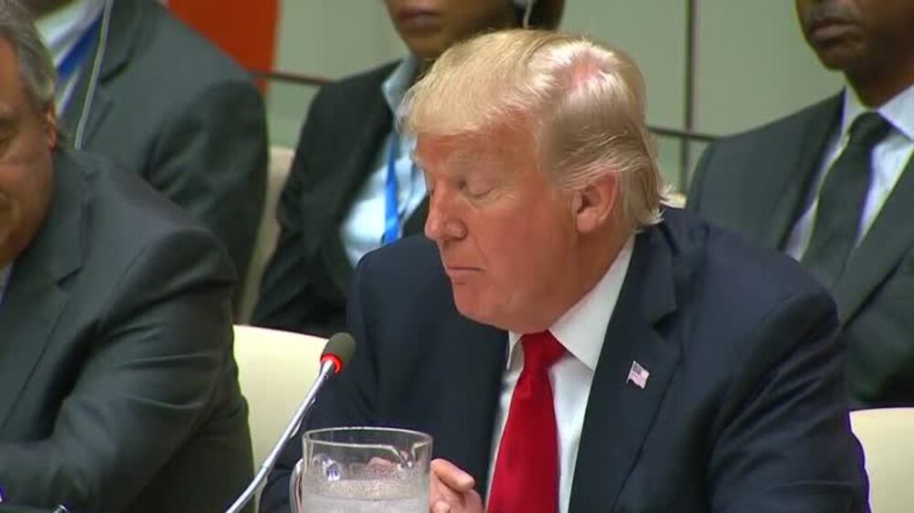 Trump: United Nations has not reached its full potential