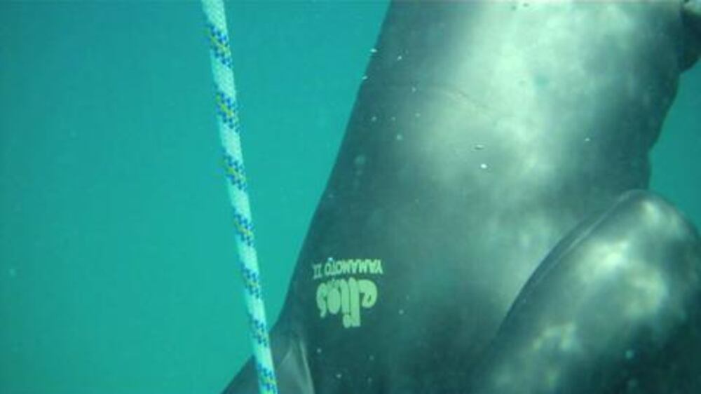 Video: Portrait of an Emirati free diver