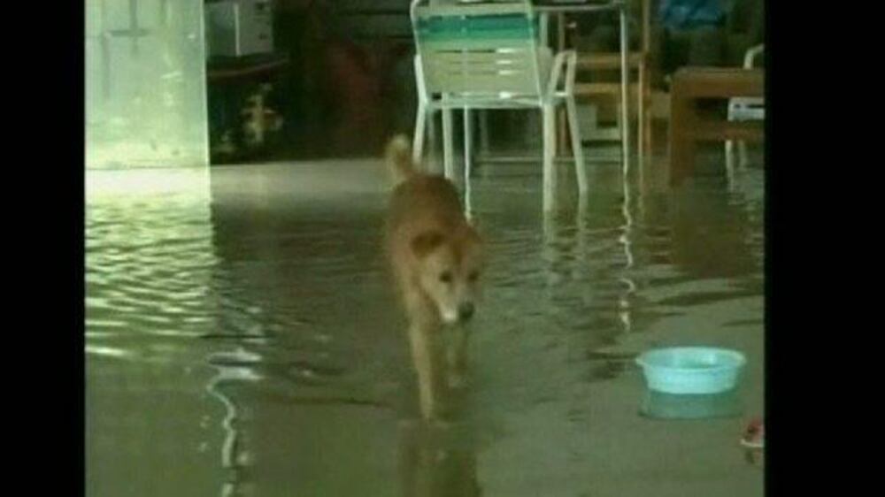 Video: Typhoons trigger widespread evacuations in Taiwan and China