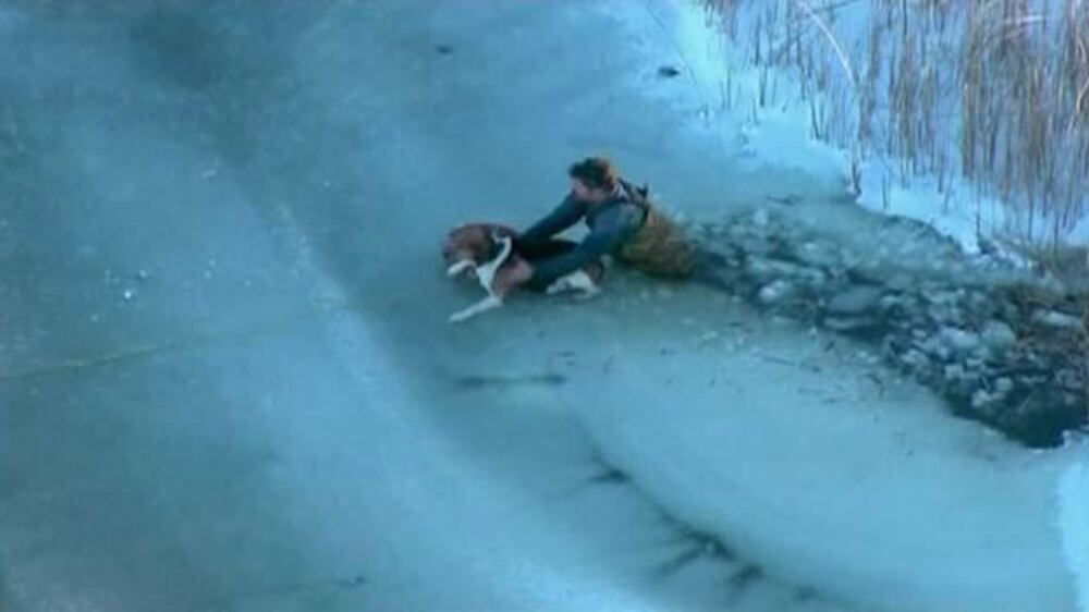 Video: Dog rescued from freezing lake