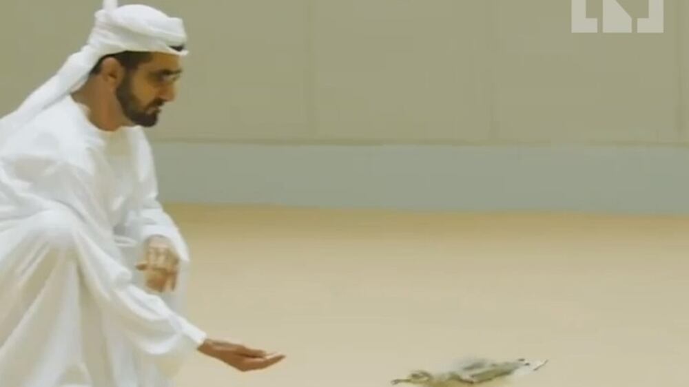 Dubai ruler celebrates his 71st birthday