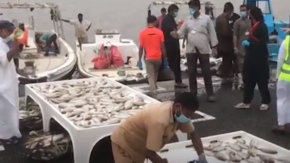 Most UAE fish markets reopen 