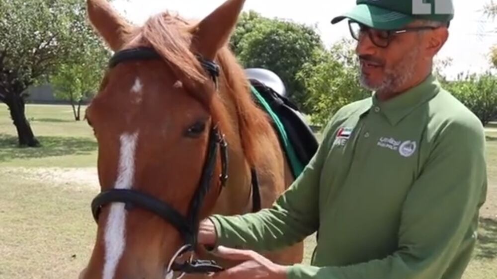 Meet the Dubai police horses