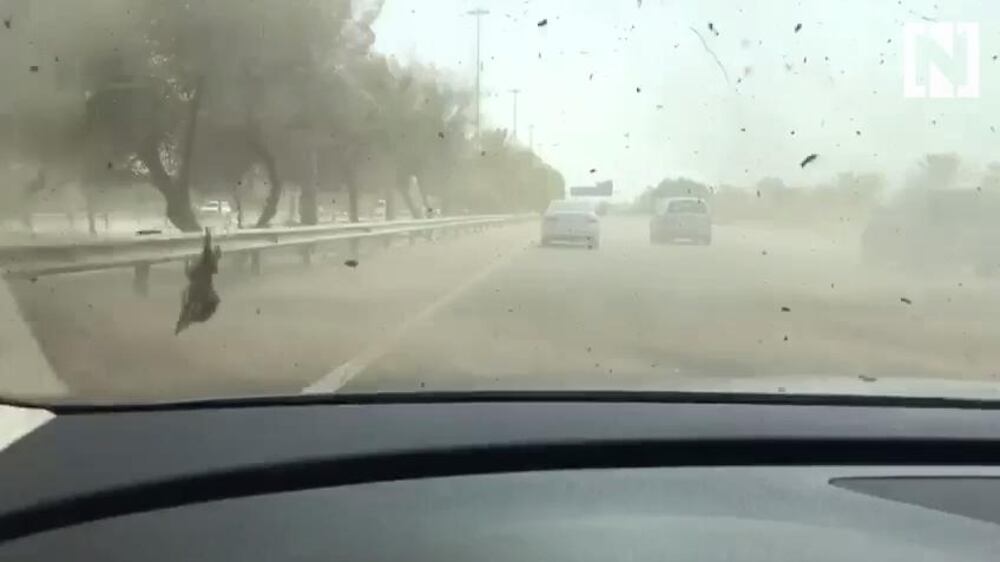 Dust Devil in the UAE
