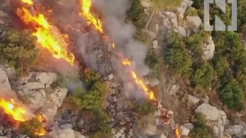Forest fires in Syria and Lebanon
