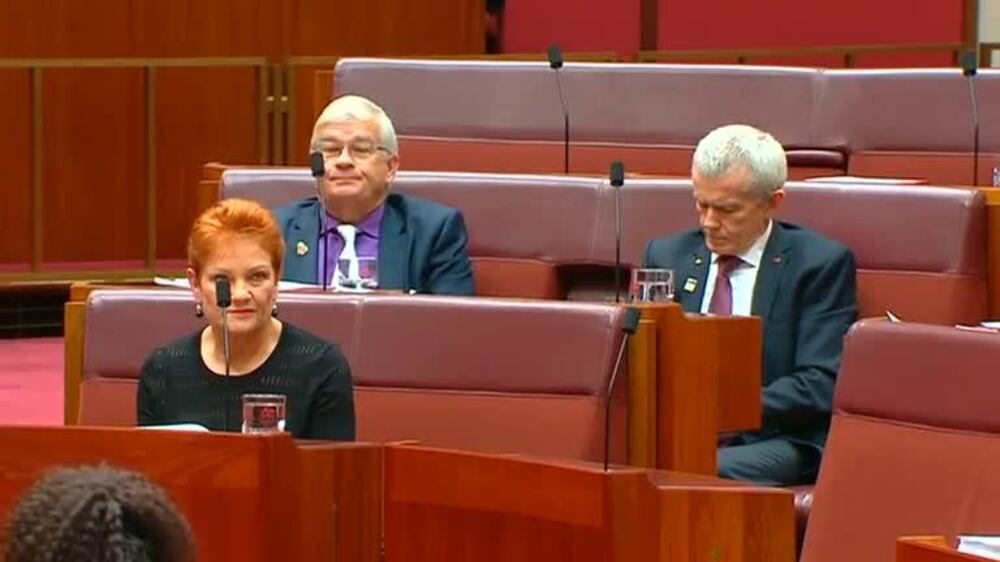 Australia's Pauline Hanson wears burqa to parliament in bid to ban them