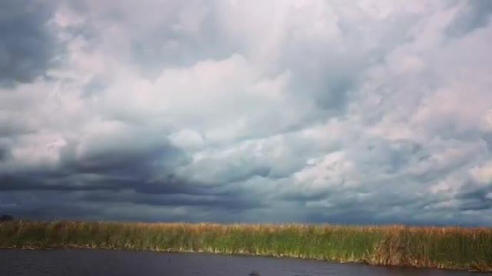 View over the Everglades from an airboat ride in Broward County, Fort Lauderdale