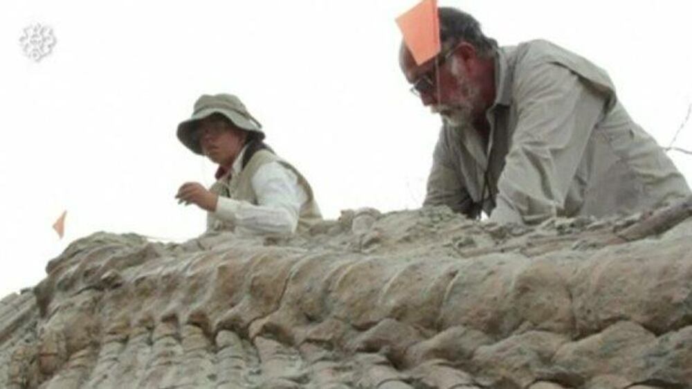 Video: Mexico dinosaur dig reveals bones bonanza