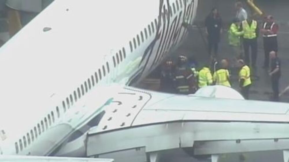 Plane makes emergency landing after worker trapped in cargo hold - video