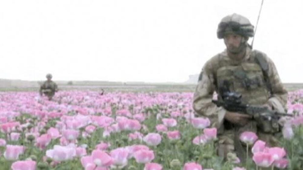 Afghan farmers move away from poppy