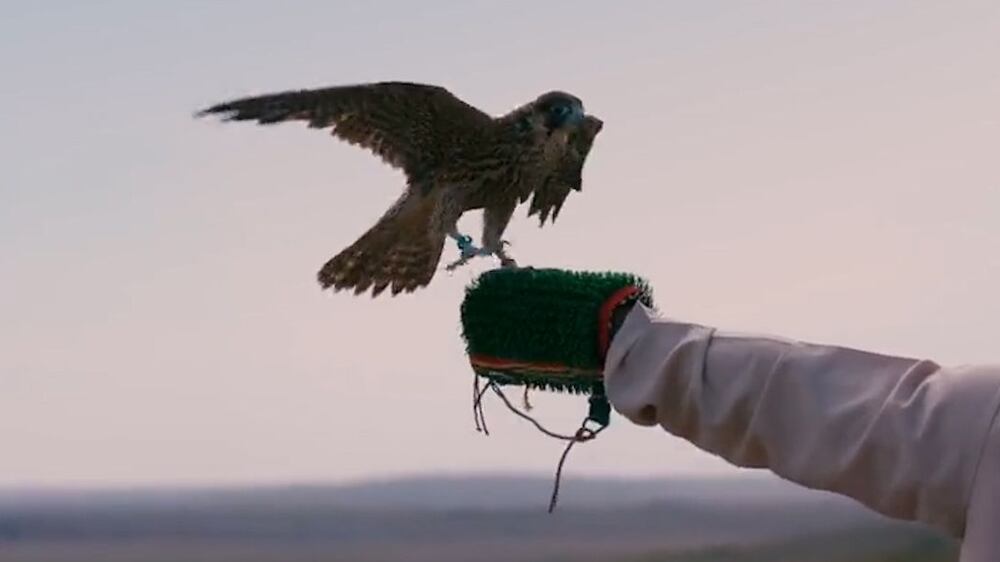 UAE releases 71 falcons into wild in Kazakhstan