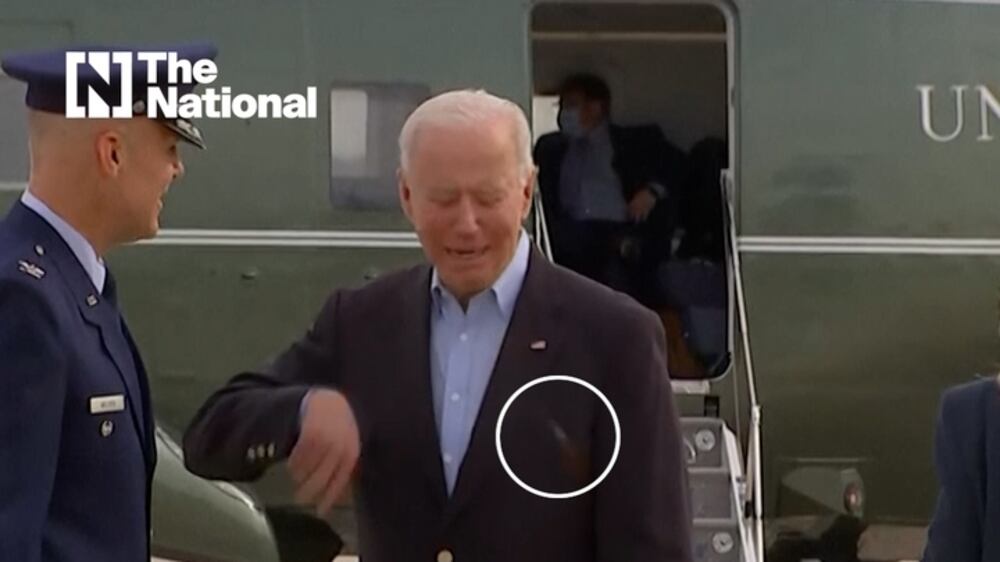 Cicada lands on Joe Biden as swarm grounds reporters' plane