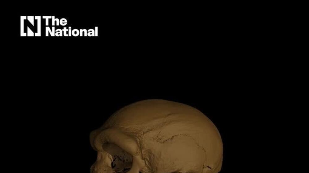 Researchers say a 150,000-year-old skull could belong to a new species of human