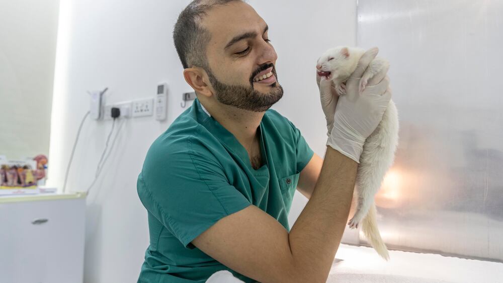 Joy and heartbreak for Dubai vet