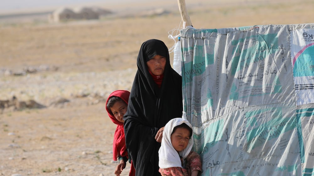 Hazara families among thousands of Afghans who flee their homes for fear of the Taliban