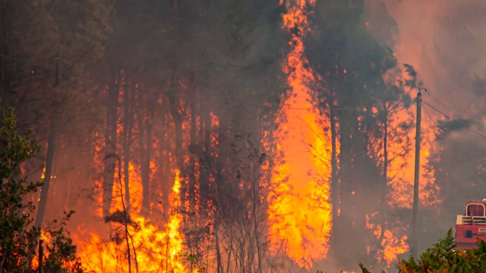 This photo provided Thursday July 14, 2022 by the fire brigade of the Gironde region (SDIS33) shows a wildfire near Landiras, southwestern France, Wednesday, July 13, 2022.  A spate of wildfires is scorching parts of Europe, with firefighters battling blazes in Portugal, Spain and southern France.  In France, two fires raged out of control in the region around Bordeaux in southwest France for a third consecutive day, despite efforts of 1,000 firefighters and water-dumping planes to contain them.  (SDIS 33 via AP)