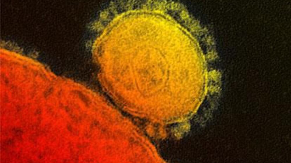 What is Mers-CoV?