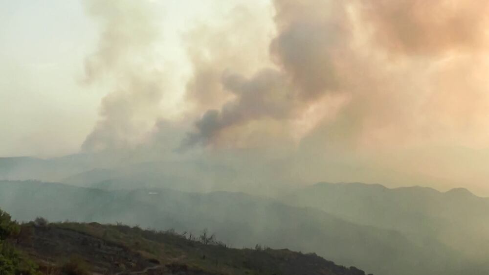 Dozens killed as wildfires sweep Algeria