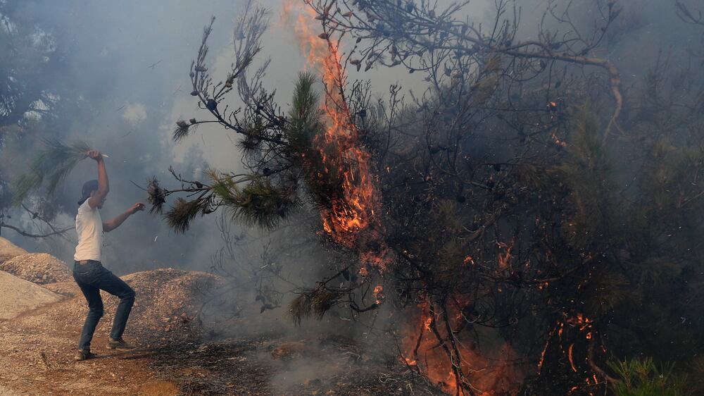 A man tries to extinguish a forest fire, at Qobayat village, in the northern Akkar province, Lebanon, Thursday, July 29, 2021.  Lebanese firefighters struggled for the second day on Thursday to contain wildfires in the country's north that have spread across the border into Syria, civil defense officials in both countries said.  (AP Photo / Hussein Malla)